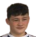 https://img.jingbaotiyu.cn/img/football/player/e907d41fb4fc3798f1e08649b2451dc7.png