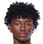 https://img.jingbaotiyu.cn/img/football/player/eca1d0053ef970d8a691c238c38e1893.png