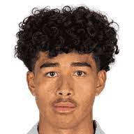 https://img.jingbaotiyu.cn/img/football/player/f07b040db42157ac0f5955af9744f895.png