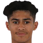 https://img.jingbaotiyu.cn/img/football/player/f63d06d2b4672a59fb4b394c50d17916.png