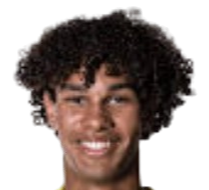 https://img.jingbaotiyu.cn/img/football/player/f9a56b67786c0f8fb220f6bf370b286d.png