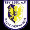https://img.jingbaotiyu.cn/img/football/team/0425718c842cc1330a6507bdde3c1da4.png