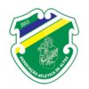 https://img.jingbaotiyu.cn/img/football/team/079dd394cc2355231bb0aee65bd140a2.png