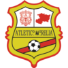 https://img.jingbaotiyu.cn/img/football/team/1cd995bdc2b652d31129d027afb27ed8.png