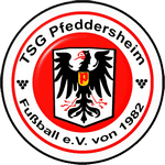 https://img.jingbaotiyu.cn/img/football/team/24bdcadb4a4d2f906720e31f3e24db32.png