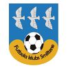 https://img.jingbaotiyu.cn/img/football/team/259a1106a33b56d2bb3c458a62ffa2ea.png