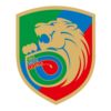 https://img.jingbaotiyu.cn/img/football/team/2eddedc5ec7a868fc63ef7491633c284.png