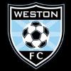 https://img.jingbaotiyu.cn/img/football/team/36bd0d997d775c21ed1d693afabc5478.png