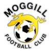 https://img.jingbaotiyu.cn/img/football/team/3cee9a1ec11da58bddb7fb374be1df5d.png