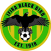 https://img.jingbaotiyu.cn/img/football/team/47eb6d33efe9783e815b352a01cc0514.png