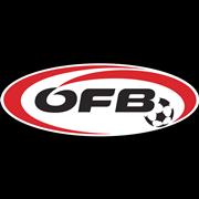https://img.jingbaotiyu.cn/img/football/team/4bec753c4cc2101cd2df5a103b29eda2.png