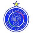https://img.jingbaotiyu.cn/img/football/team/8363baf7f19dca845581f1d64de9908c.png