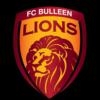 https://img.jingbaotiyu.cn/img/football/team/855ef04f1461ab3c19bfdad4702d21c8.png