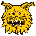 https://img.jingbaotiyu.cn/img/football/team/9f170a9ffc15b4141b790f4ff042cc51.png