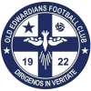 https://img.jingbaotiyu.cn/img/football/team/a4087593839b70794341232e84cbc1b6.png