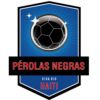 https://img.jingbaotiyu.cn/img/football/team/a8830993e87a74df455ca81a476f6213.png