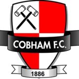 https://img.jingbaotiyu.cn/img/football/team/ab630fc611183a3b18bb8c5ed4814ccf.png