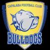 https://img.jingbaotiyu.cn/img/football/team/da8bfcabb427caa8c01fbb244a1f77aa.png