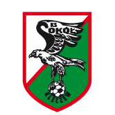https://img.jingbaotiyu.cn/img/football/team/e6a8908dd206e2ea02d9803c82c60bba.png