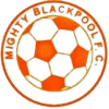 https://img.jingbaotiyu.cn/img/football/team/e7581fc6c38fb3a0ef7fda8456c48353.png
