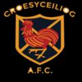 https://img.jingbaotiyu.cn/img/football/team/e86121144725883dba28d2b1cc6c7e12.png