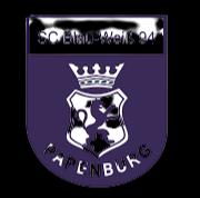 https://img.jingbaotiyu.cn/img/football/team/f21cb822aaa2636efa994c1ce2d6bdd2.png