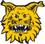 https://img.jingbaotiyu.cn/img/football/team/f6526b5434c06d7a6da4a9193fdac95e.png